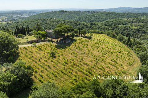 Casa de campo en Sinalunga, Siena, Sinalunga - € 980.000 | Ref: SIN3654-1376455 - photo 45
