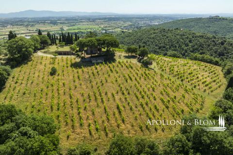 Casa de campo en Sinalunga, Siena, Sinalunga - € 980.000 | Ref: SIN3654-1376455 - photo 46