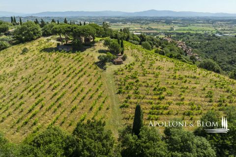 Casa de campo en Sinalunga, Siena, Sinalunga - € 980.000 | Ref: SIN3654-1376455 - photo 47