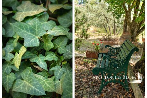Villa en Arezzo, Arezzo, Arezzo - € 1.100.000 | Ref: ARZ3697-1376552 - photo 42