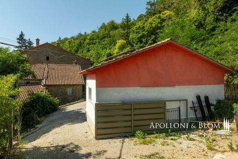 Farm hus i Cortona, Arezzo, Cortona - € 1.790.000 | Ref: COR3736-1376601 - foto 37