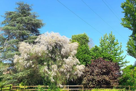 Haus in Teolo, Padua, Teolo - € 1.290.000 | Ref: G090 - Foto 25