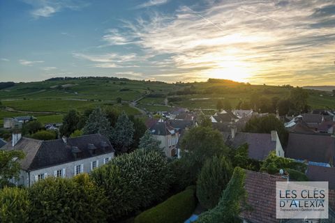 Villa i Pommard, Cote-d'Or, Pommard - € 1.275.000 | Ref: 86235212 - foto 23