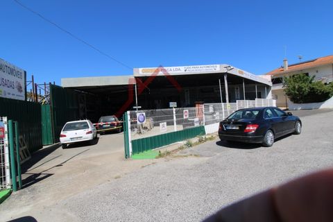 Helårsgrund i Alenquer, Lisbon, Alenquer - € 650.000 | Ref: TER_1146 - foto 49