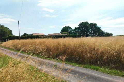 Terra a Merignac, Charente-Maritime, Merignac - € 24.000 | Ref: 3011444491 - foto 2