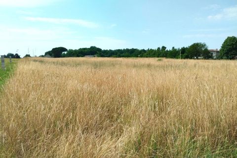 Terra a Merignac, Charente-Maritime, Merignac - € 24.000 | Ref: 3011444491 - foto 3
