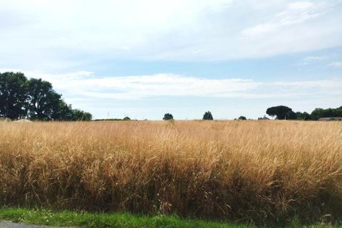 Terra a Merignac, Charente-Maritime, Merignac - € 12.000 | Ref: 3011444489 - foto 2