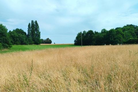 Terra a Merignac, Charente-Maritime, Merignac - € 18.000 | Ref: 3011444488 - foto 3