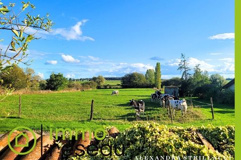 Villa em Mulcey, Moselle, Mulcey - € 131.500 | Ref: 3011441879 - foto 20