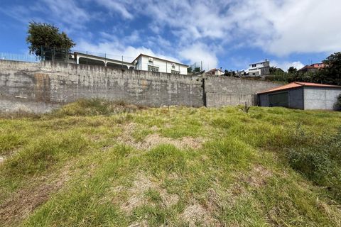 Helårsgrund i Ponta do Sol, Madeira, Ponta do Sol - € 275.000 | Ref: 081250208 - foto 3