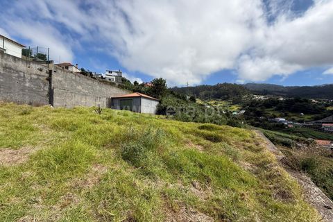 Helårsgrund i Ponta do Sol, Madeira, Ponta do Sol - € 275.000 | Ref: 081250208 - foto 4