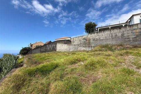Helårsgrund i Ponta do Sol, Madeira, Ponta do Sol - € 275.000 | Ref: 081250208 - foto 5