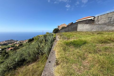 Helårsgrund i Ponta do Sol, Madeira, Ponta do Sol - € 275.000 | Ref: 081250208 - foto 6