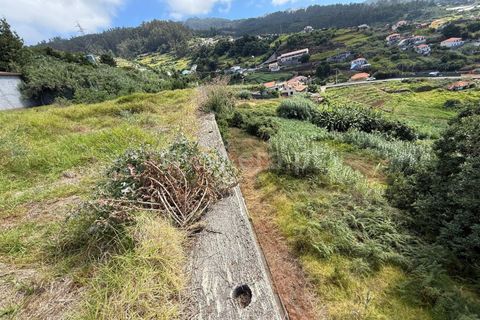 Helårsgrund i Ponta do Sol, Madeira, Ponta do Sol - € 275.000 | Ref: 081250208 - foto 7