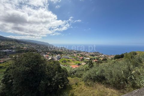 Helårsgrund i Ponta do Sol, Madeira, Ponta do Sol - € 275.000 | Ref: 081250208 - foto 9