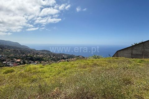 Helårsgrund i Ponta do Sol, Madeira, Ponta do Sol - € 275.000 | Ref: 081250208 - foto 10