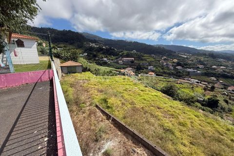 Helårsgrund i Ponta do Sol, Madeira, Ponta do Sol - € 275.000 | Ref: 081250208 - foto 13