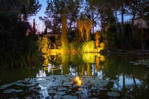Landejendom i Santa Eugenia, Mallorca, Santa Eugenia - € 6.950.000 | Ref: 40136 - foto 6