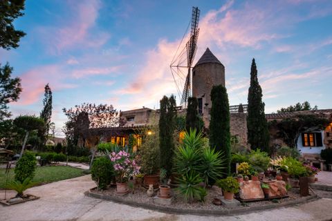 Landejendom i Santa Eugenia, Mallorca, Santa Eugenia - € 6.950.000 | Ref: 40136 - foto 21
