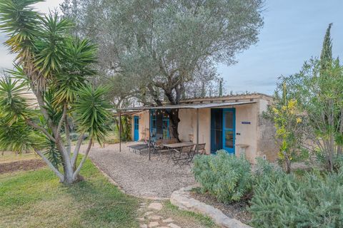 Landejendom i Manacor, Mallorca, Manacor - € 1.950.000 | Ref: KPNO1047 - foto 21