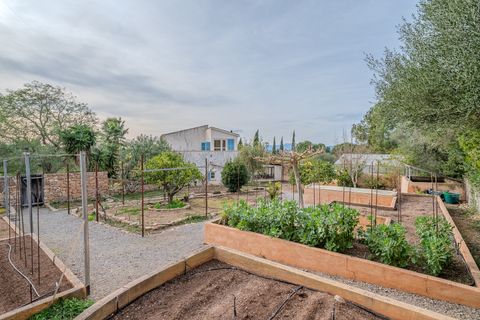 Landejendom i Manacor, Mallorca, Manacor - € 1.950.000 | Ref: KPNO1047 - foto 22