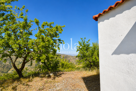 Landejendom i Torvizcon, Granada, Torvizcon - € 110.000 | Ref: LLW-Cortijo Durazno - foto 3