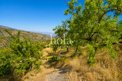 Landejendom i Torvizcon, Granada, Torvizcon - € 110.000 | Ref: LLW-Cortijo Durazno - foto 20