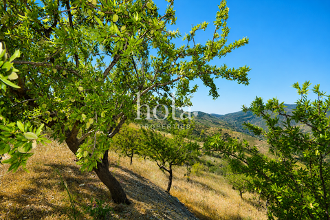 Landejendom i Torvizcon, Granada, Torvizcon - € 110.000 | Ref: LLW-Cortijo Durazno - foto 21