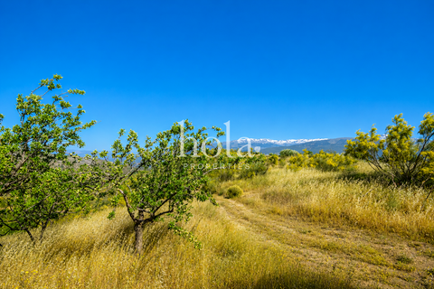 Landejendom i Torvizcon, Granada, Torvizcon - € 110.000 | Ref: LLW-Cortijo Durazno - foto 22