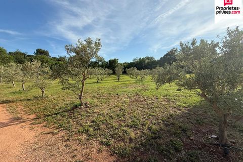 Villa a Le Luc, Var, Le Luc - € 535.000 | Ref: 453091JPOS2506JPOS - foto 12