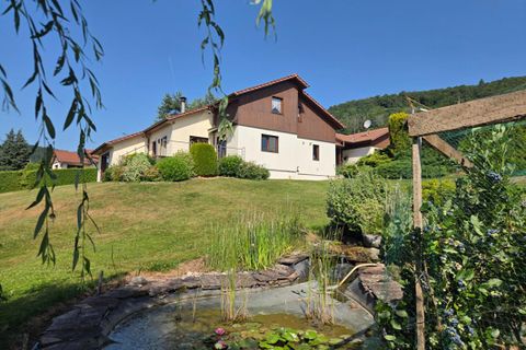 Villa i Saint-Nabord, Vosges, Saint-Nabord - € 610.000 | Ref: 456369XMI - foto 11