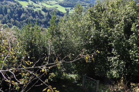 Villa en Eaux-Bonnes, Pyrenees-Atlantiques, Eaux-Bonnes - € 240.000 | Ref: 453241APAU - photo 14
