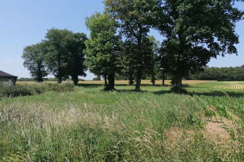Terra a Loyat, Morbihan, Loyat - € 24.990 | Ref: 445829MVY - foto 2
