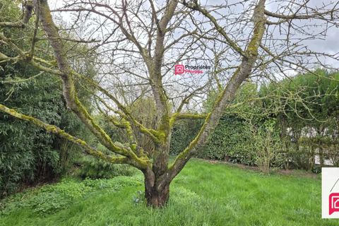 Villa i Grandfresnoy, Oise, Grandfresnoy - € 214.000 | Ref: 444535MTAM - foto 16
