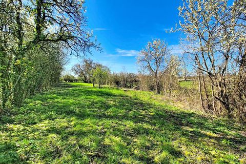 Villa i Parassy, Cher, Parassy - € 79.000 | Ref: 442937MHOF - foto 8