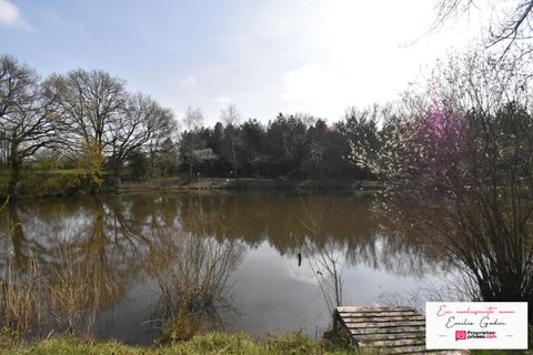 Terra a La Plaine, Maine-et-Loire, La Plaine - € 34.000 | Ref: 442887GDI - foto 4