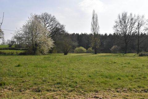 Terra a La Plaine, Maine-et-Loire, La Plaine - € 34.000 | Ref: 442887GDI - foto 5