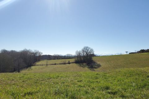 Grond in Marciac, Gers, Marciac - € 50.000 | Ref: 432994BRMO - foto 2