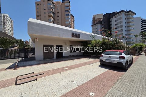L'establiment comercial a Benidorm, Alicante, Benidorm - € 800.000 | Ref: W-030SQ1 - foto 19