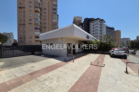 L'establiment comercial a Benidorm, Alicante, Benidorm - € 800.000 | Ref: W-030SQ1 - foto 20
