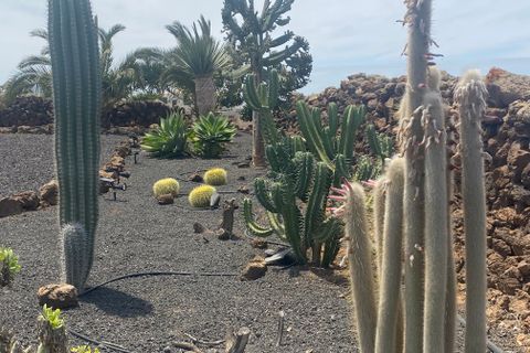 Villa i Villaverde, Fuerteventura, Villaverde - € 895.000 | Ref: 265 - foto 41