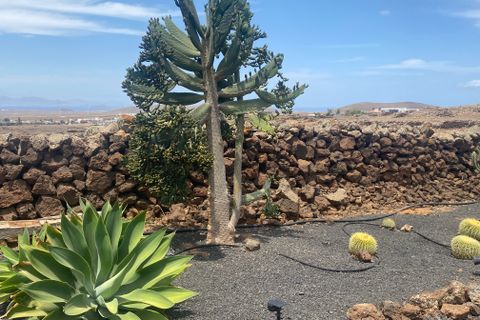 Villa i Villaverde, Fuerteventura, Villaverde - € 895.000 | Ref: 265 - foto 42