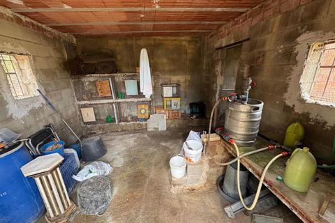 Helårsgrund i Beniganim, Valencia, Beniganim - € 29.000 | Ref: PNPT0027 - foto 4
