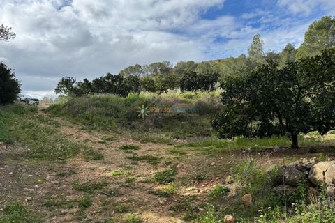 Helårsgrund i Beniganim, Valencia, Beniganim - € 29.000 | Ref: PNPT0027 - foto 6