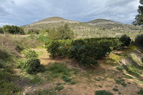 Helårsgrund i Beniganim, Valencia, Beniganim - € 29.000 | Ref: PNPT0027 - foto 8