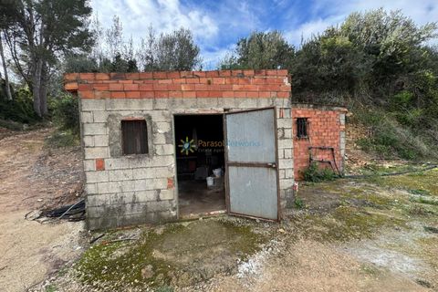 Helårsgrund i Beniganim, Valencia, Beniganim - € 29.000 | Ref: PNPT0027 - foto 3