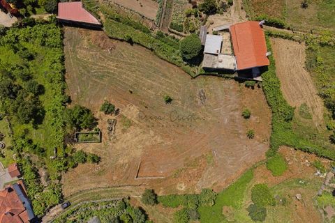 Helårsgrund i Ponte de Lima, Viana do Castelo, Ponte de Lima - € 220.000 | Ref: TC193 - foto 3
