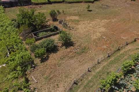 Helårsgrund i Ponte de Lima, Viana do Castelo, Ponte de Lima - € 220.000 | Ref: TC193 - foto 5
