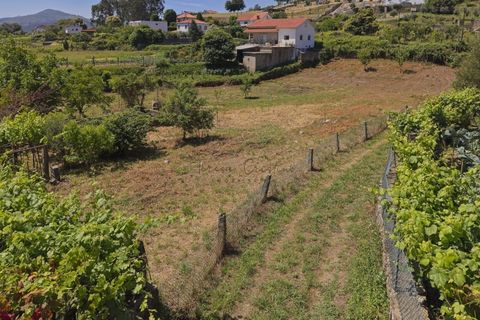 Helårsgrund i Ponte de Lima, Viana do Castelo, Ponte de Lima - € 220.000 | Ref: TC193 - foto 6