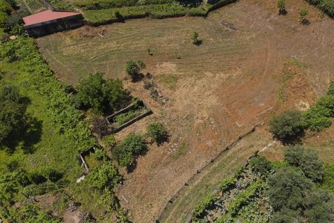 Helårsgrund i Ponte de Lima, Viana do Castelo, Ponte de Lima - € 220.000 | Ref: TC193 - foto 7
